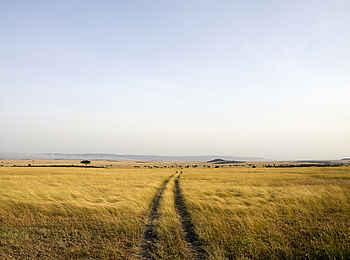 Serengeti Safari Camp: Graslandschaft