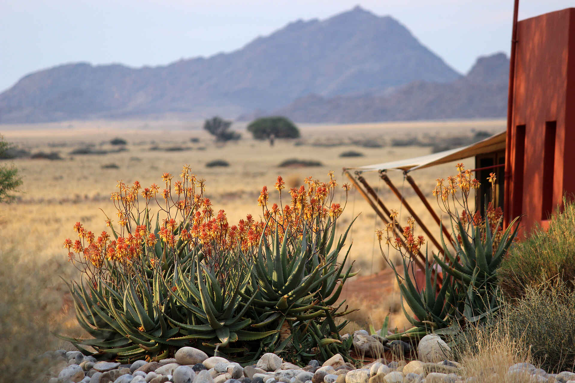 Adventure Center, Adventure Centre, Eco Award, Eco Award Namibia, Game Drives, Heißluftballon, Luxus, Nachhaltigkeit, Namib, Namib Wüste, Namibia, Namib-Naukluft, Namib-Naukluft-Nationalpark, Natur, Naturwanderungen, Sanddünen, Savanne, Sesriem, Sesriem-Canyon, Sesriem-Gate, Sossusvlei, Sossusvlei Lodge, Taleni Africa Tourism Holdings Ltd, Umwelt, Panorama, afrikarma, afrikarma.de, Naukluftgebirge