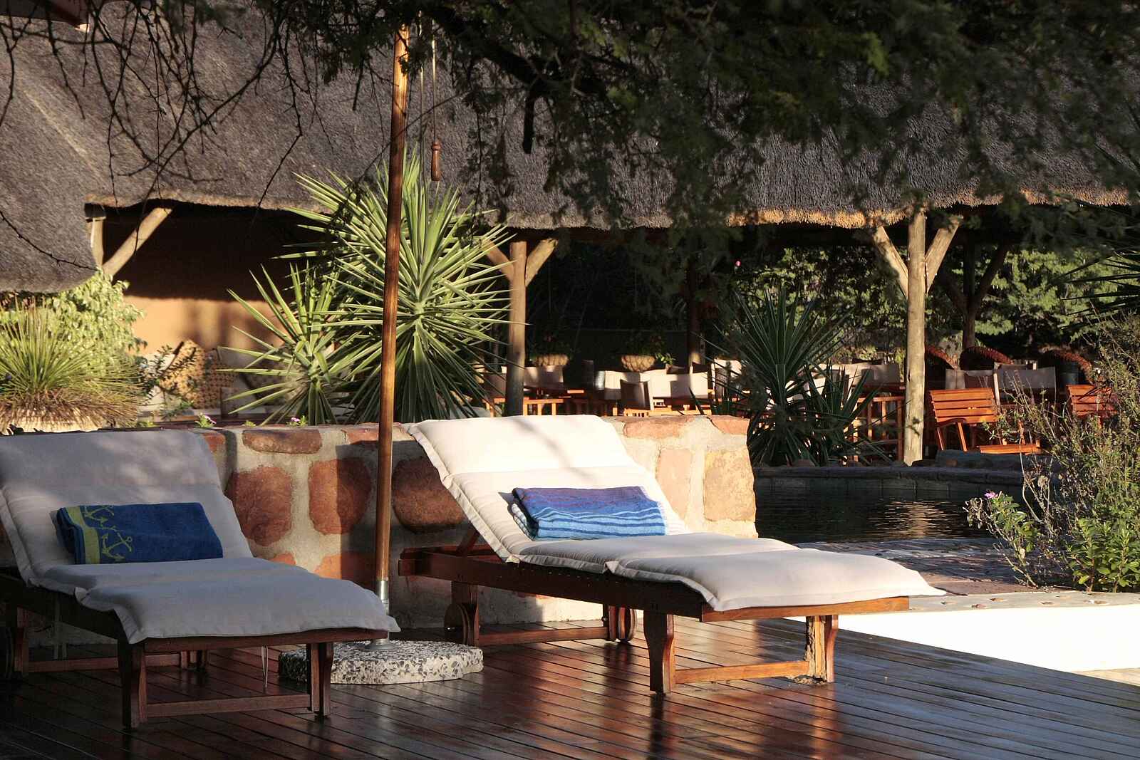 Waterberg Guest Farm: Gepolsterte Liegestühle Waterberg Guest Farm: Gepolsterte Liegestühle