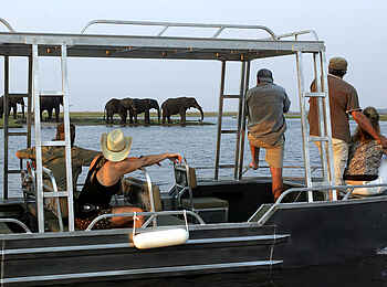 Zambezi Queen: Wildbeobachtung auf Motorbootfahrt