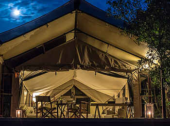 Entim Masai Mara: Erleuchtetes Gästezelt