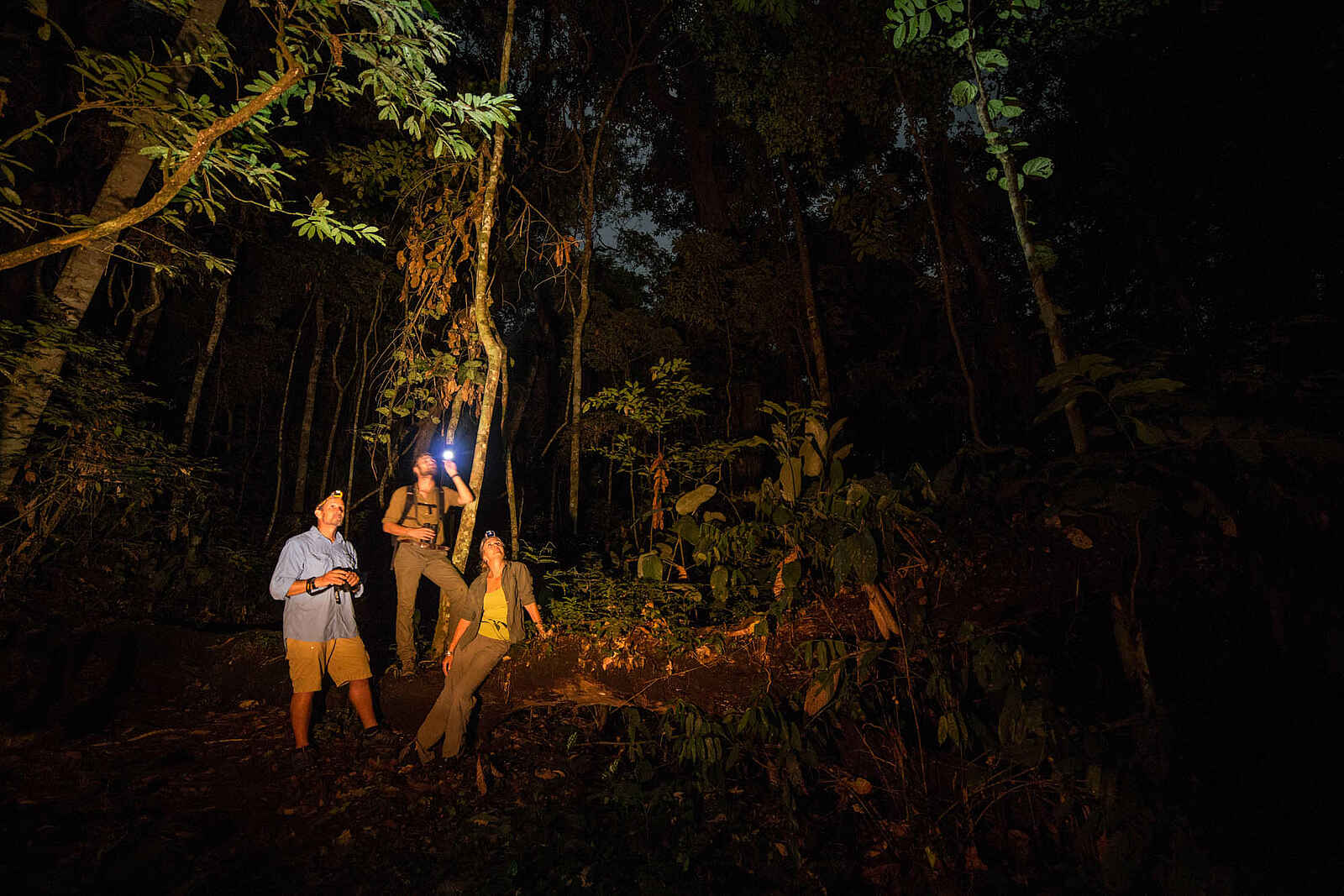 Ngaga Camp: Nächtliche Buschwanderung Ngaga Camp: Nächtliche Buschwanderung