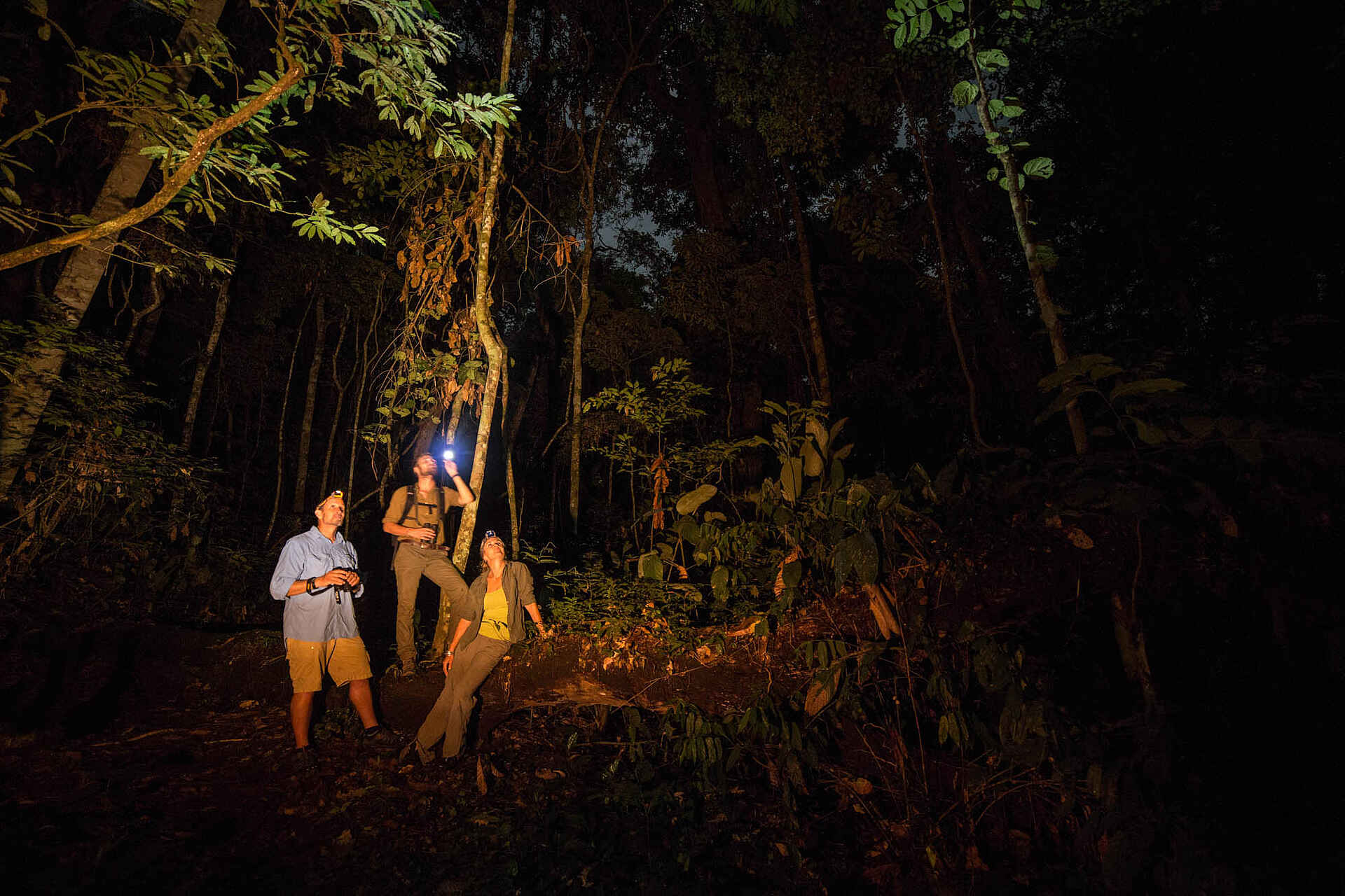 Congo Conservation Company, Ndzehi Forest, Ngaga Camp, Odzala Nationalpark, Aktivitäten, Außenansicht, Buschwanderung, Bushwalk, Natur, Wildnis, Afrikarma, Afrikarma Safaris, Afrikarma Safaris - Wildnis. Hautnah., Afrikarma.de