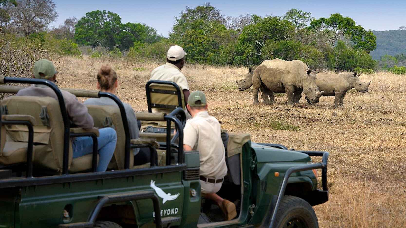 andBeyond Phinda Vlei Lodge: Nashörner auf Pirschfahrt beobachten andBeyond Phinda Vlei Lodge: Nashörner auf Pirschfahrt beobachten