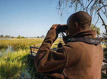 Belmond Eagle Island Lodge: Tierbeobachtung vom Deck aus Belmond Eagle Island Lodge: Tierbeobachtung vom Deck aus