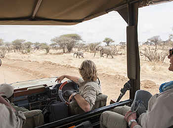 Kwihala Camp: Elefantenbeobachtung im Safarifahrzeug