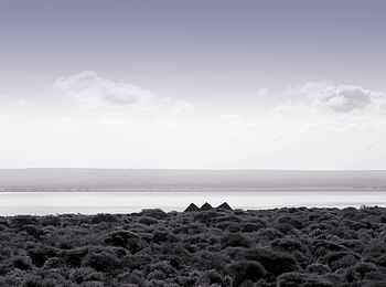 Lake Burunge Tented Camp: Aussicht auf den Lake Burunge