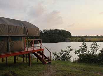 Loango Savannah Camp: Gästezelt Blick auf Fluß