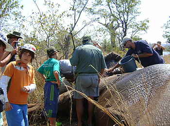 Musango Safari Camp: Kampf gegen Wilderer