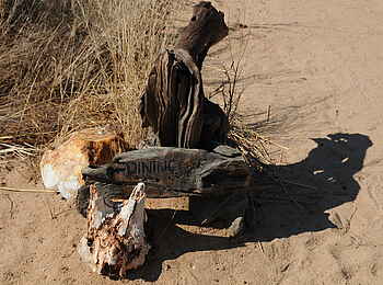 Mwagusi Safari Camp: Wegweiser