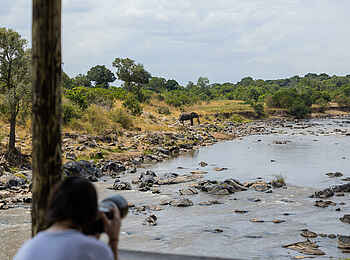 Serian's Kimya Kimya: Tierfotografie von der Lodge Serian's Kimya Kimya: Tierfotografie von der Lodge