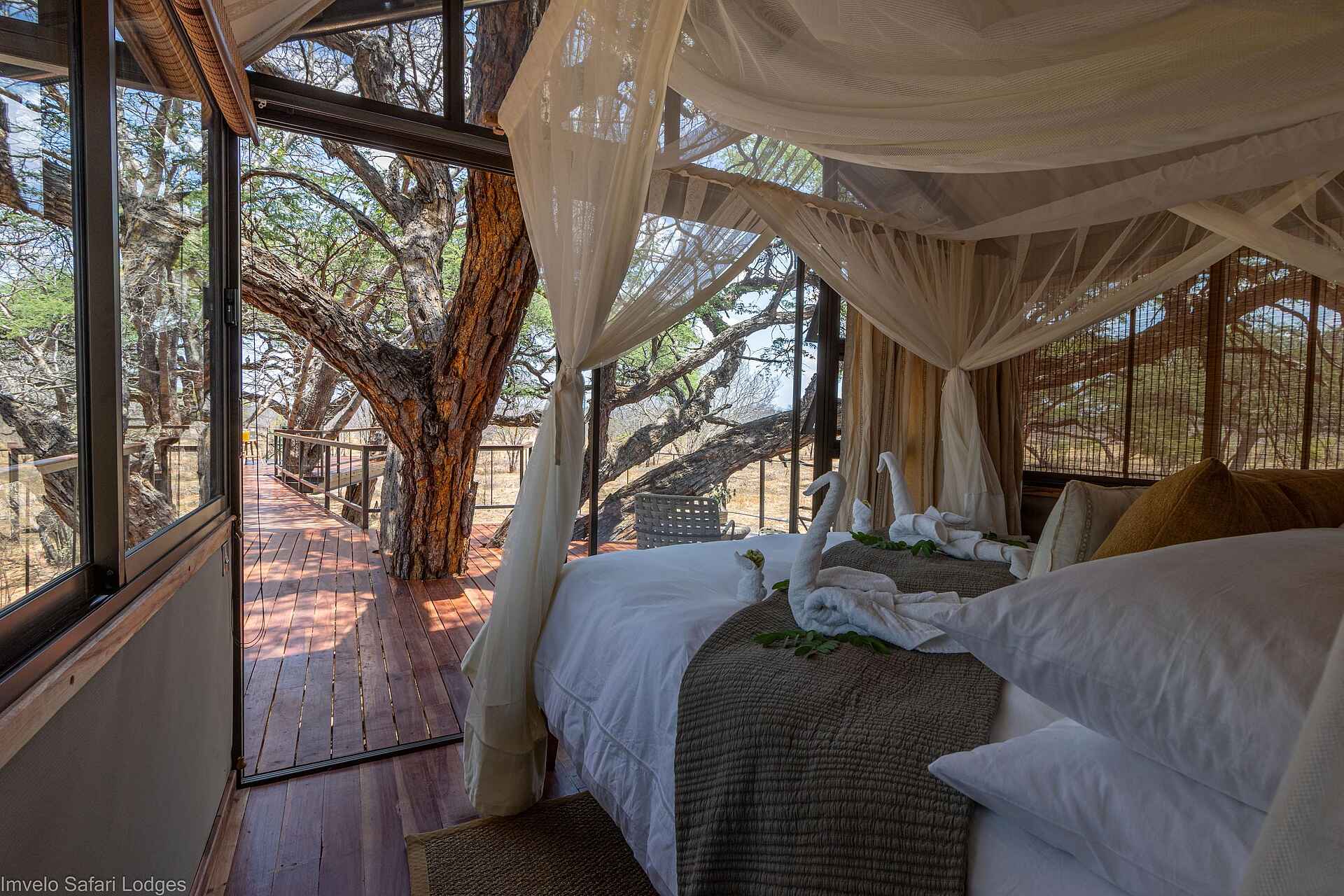 Tum Tum Treehouse Lodge: Goshwak Suite Blick hinaus