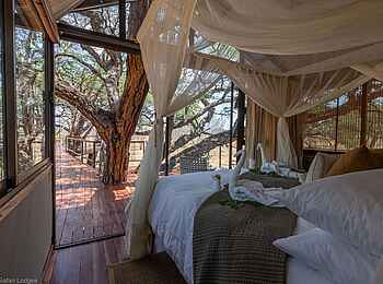 Tum Tum Treehouse Lodge: Goshwak Suite Blick hinaus