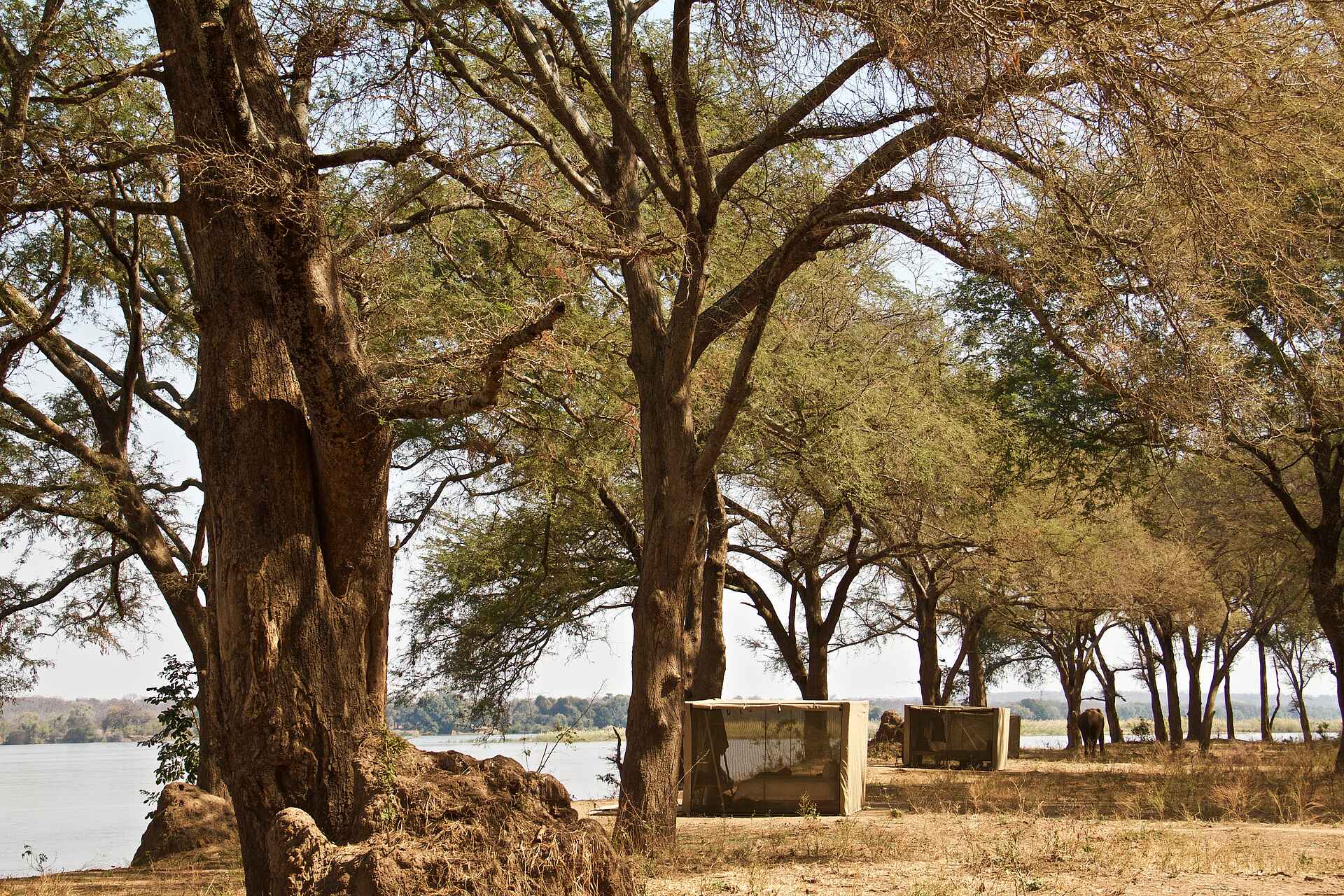 Lower Zambezi National Park, Tusk & Mane, Kyle Branch, Luke Evans, Gästezelt, Moskitoschutz, Cathedral Forest, Afrikarma, Afrikarma Safaris, Afrikarma Safaris. Wildnis. Hautnah., Afrikarma.de