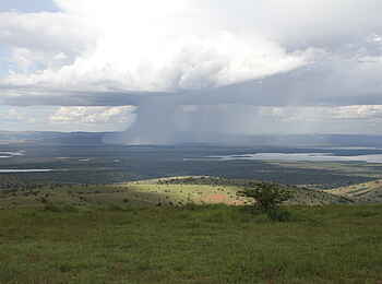 Ruzizi Tented Lodge: Der Akagera Nationalpark