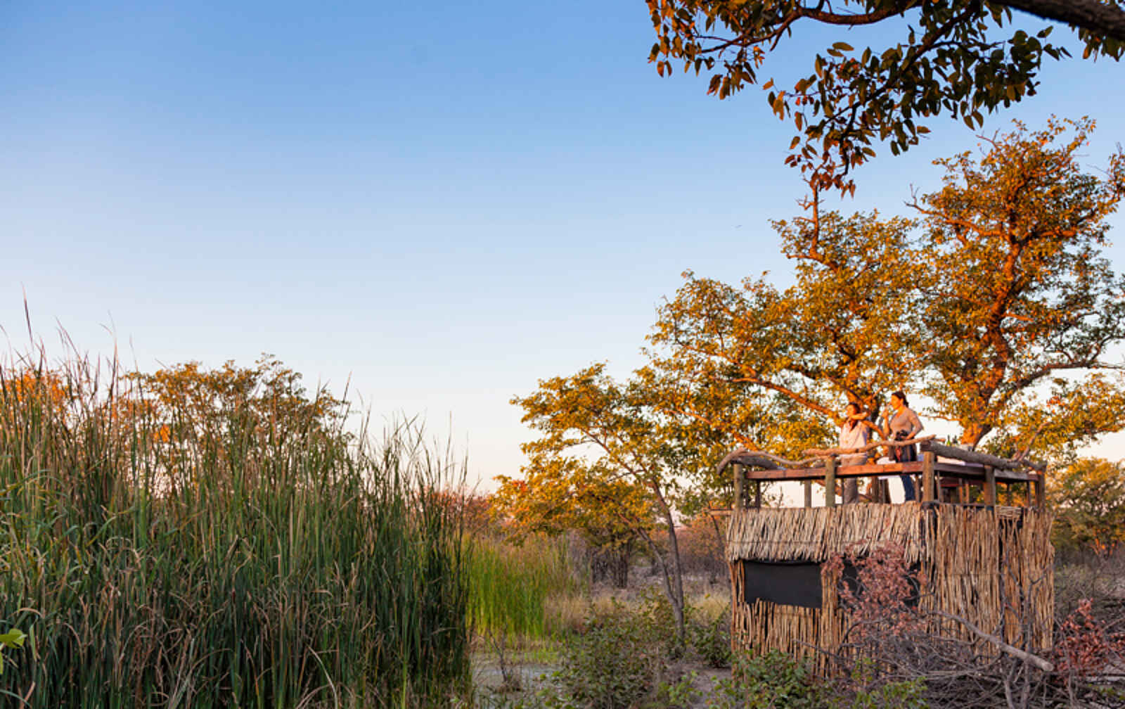 Taleni Etosha Village: Aussichtsplattform Taleni Etosha Village: Aussichtsplattform