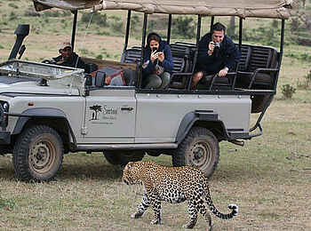 Basecamp Mara Houses: Auf Pirschfahrt Basecamp Mara Houses: Auf Pirschfahrt