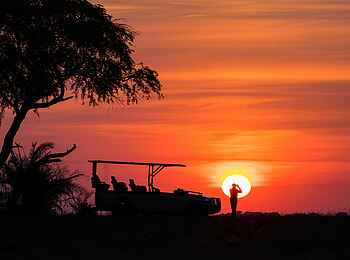 Chisa Busanga Camp: Pirschfahrt bei Sonnenuntergang Chisa Busanga Camp: Pirschfahrt bei Sonnenuntergang