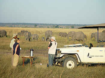 Chobe Safari Lodge: Snack auf Pirsch Chobe Safari Lodge: Snack auf Pirsch