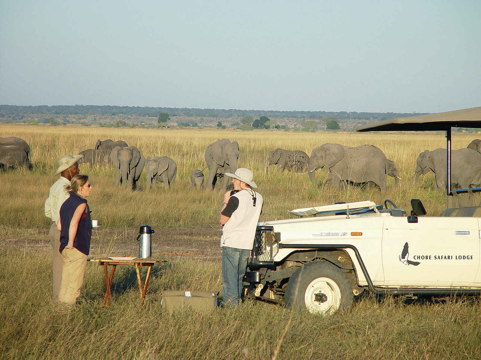 Chobe Safari Lodge: Snack auf Pirsch Chobe Safari Lodge: Snack auf Pirsch