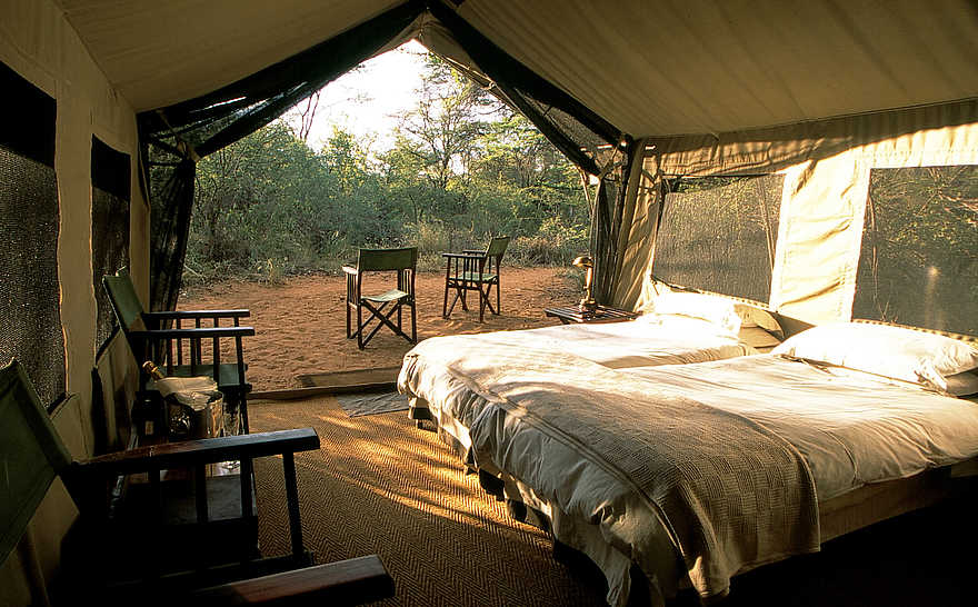 Chobe under Canvas: Gästeunterkunft Chobe under Canvas: Gästeunterkunft