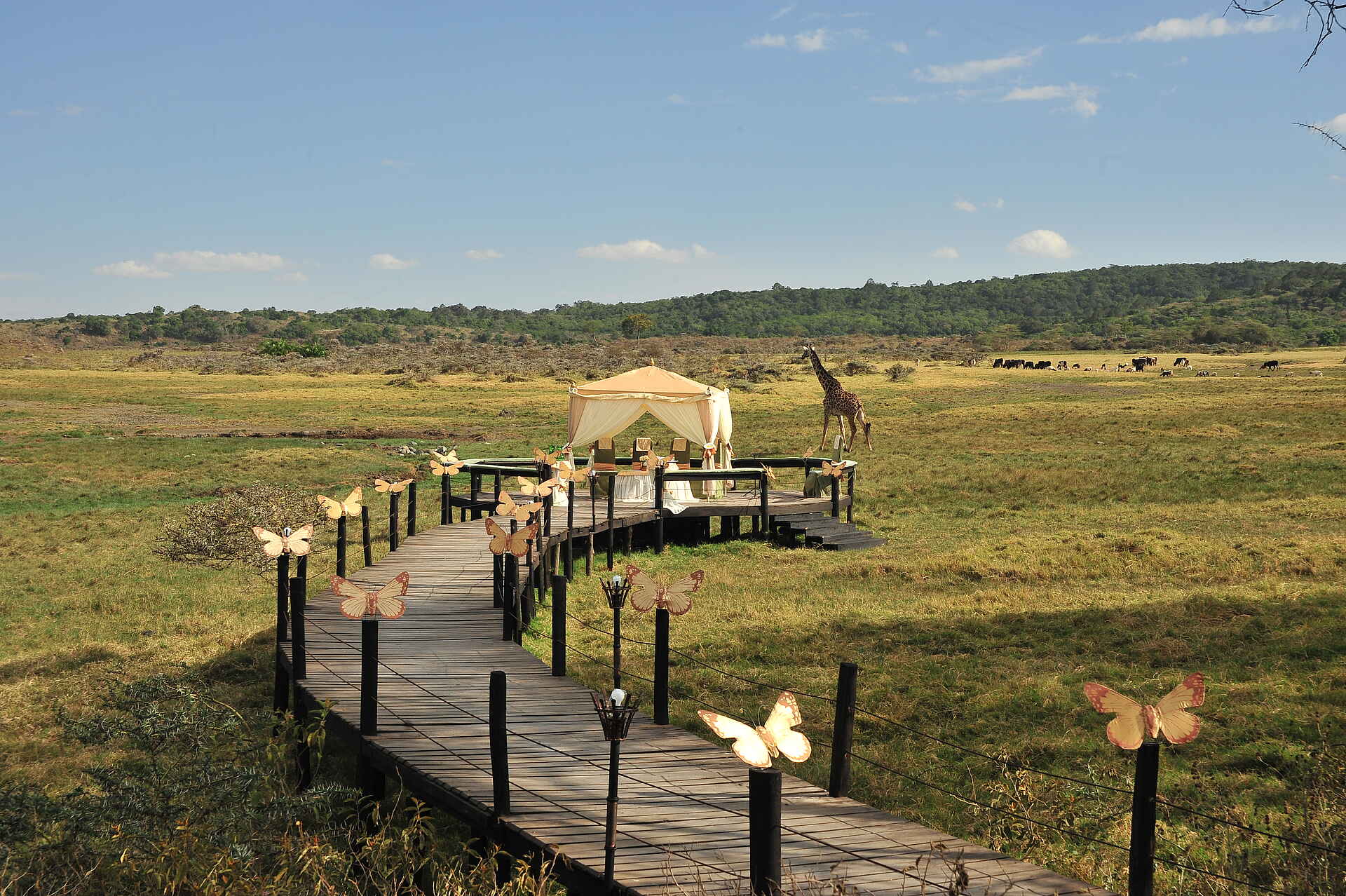 Hatari Lodge, Aussichtsplattform, Hochzeit, Momella-Lichtung