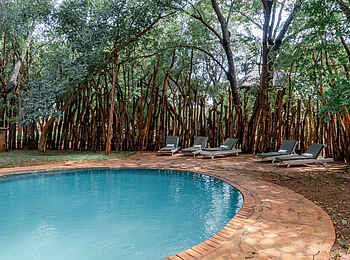Ivory Lodge: Am Pool Ivory Lodge: Am Pool