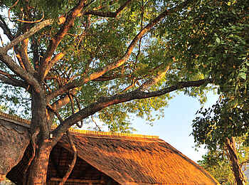 Kafunta River Lodge: Feuerplatz vor der Lodge