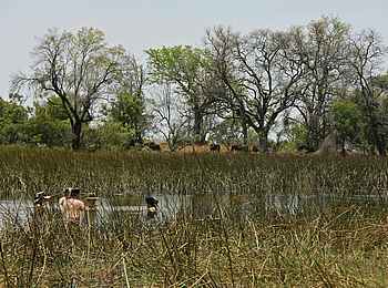 Kujwana Camp: Bad im Fluss