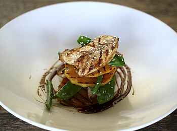 Phinda Homestead: Vorspeise Phinda Homestead: Vorspeise