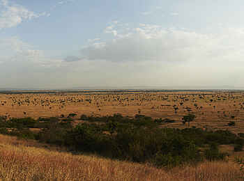 Singita Explore Mobile Tented Camp: Panoramablick Singita Explore Mobile Tented Camp: Panoramablick
