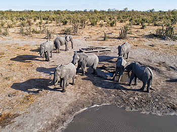 Skybeds: Hide aus der Luft Skybeds: Hide aus der Luft