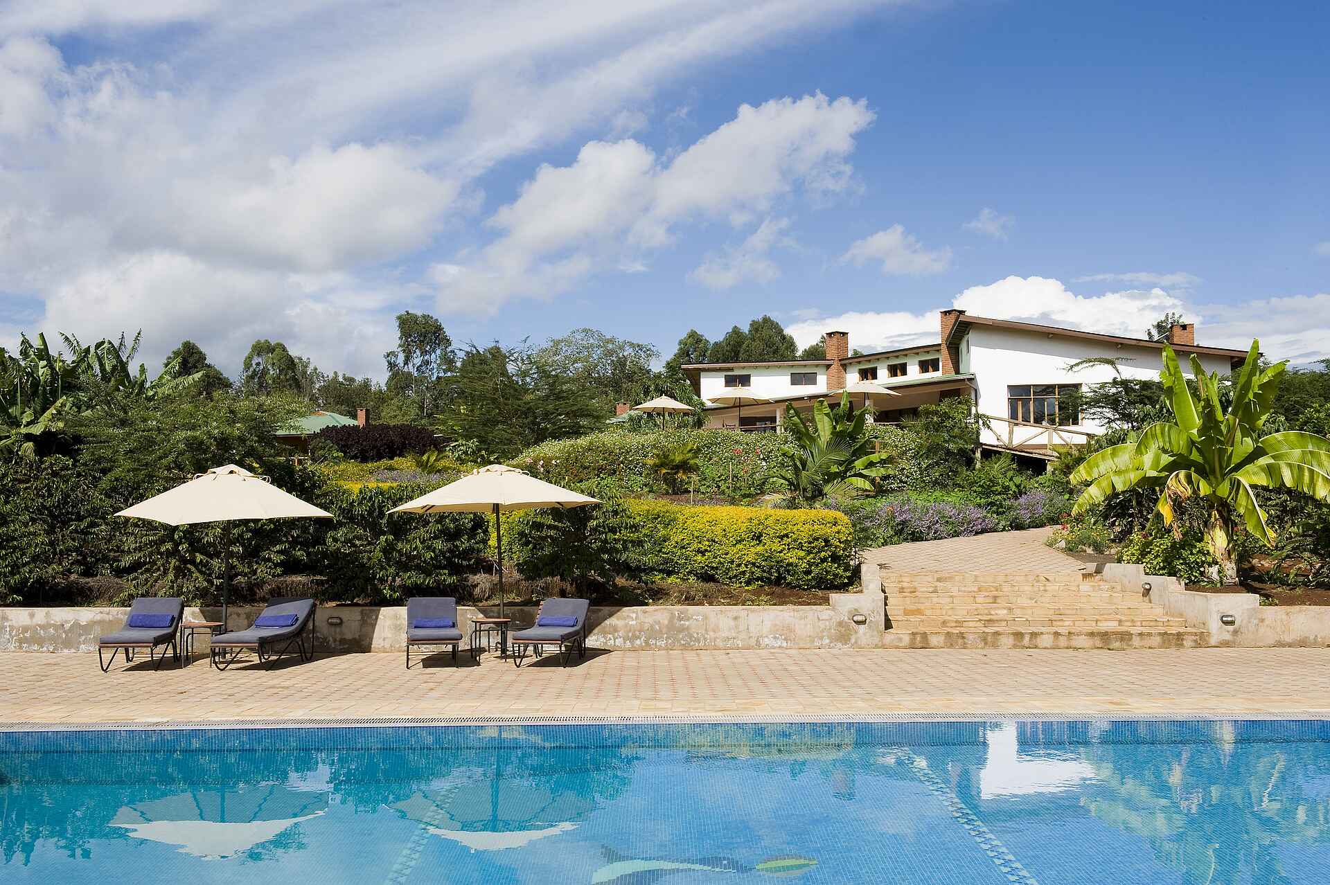 Tloma Lodge: Pool und Hauptgebäude verbindet eine breite Treppe Ngorongoro Conservation Area, Ngorongoro-Krater, Tansania, Tloma Lodge, Anlage, Gartenanlage, Hauptgebäude, Pool, Sonnenliegen, Sonnenterrasse, Afrikarma, Afrikarma Safaris, Afrikarma Safaris – Wildnis. Hautnah., afrikarma.de