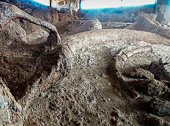 Lobolo Camp: Sibiloi National Park