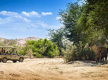 Ozondjou Trails: Begegnungen auf der Pirschfahrt