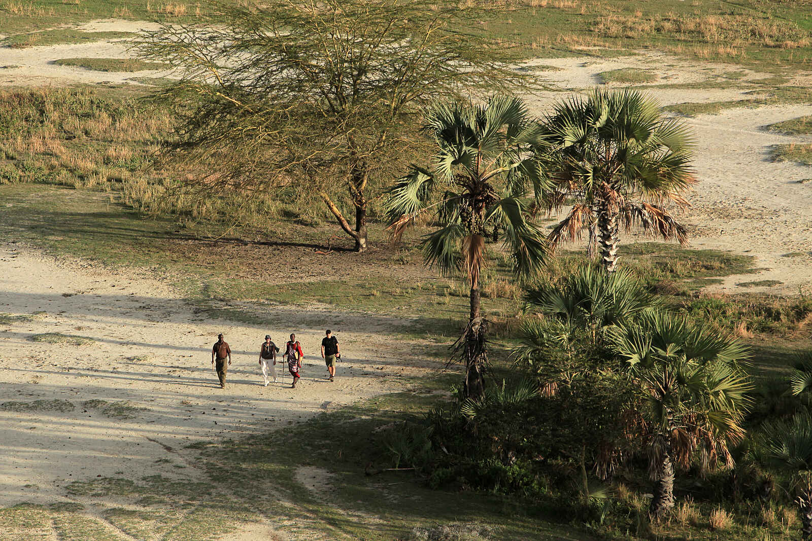 Chem Chem Lodge: Buschwanderung Chem Chem Lodge: Buschwanderung