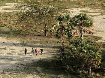 Chem Chem Lodge: Buschwanderung Chem Chem Lodge: Buschwanderung