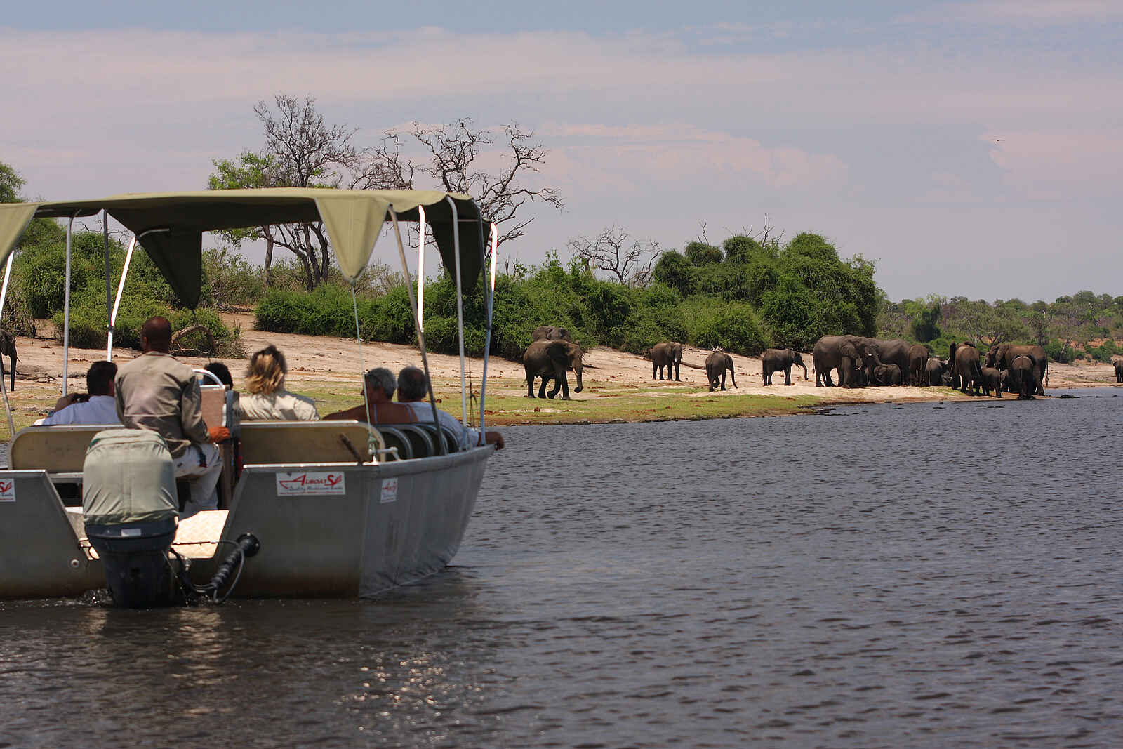 Elephant Valley Lodge: Elefanten am Chobe Elephant Valley Lodge: Elefanten am Chobe