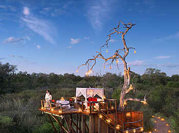 Lion Sands Chalkley Treehouse: Gesamtansicht Baumhaus Lion Sands Chalkley Treehouse: Gesamtansicht Baumhaus