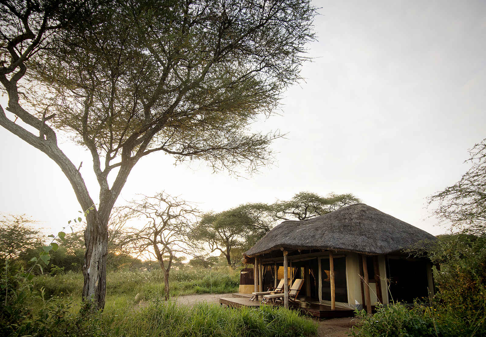 Oliver's Camp: Gästeunterkunft von außen Oliver's Camp: Gästeunterkunft von außen