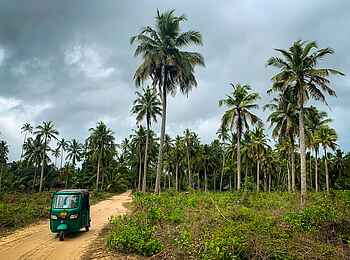Pole Pole Bungalows: Umgebung auf Mafia Island