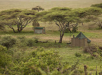 Wayo Nabi Green Camp: Zwei Zelte Wayo Nabi Green Camp: Zwei Zelte