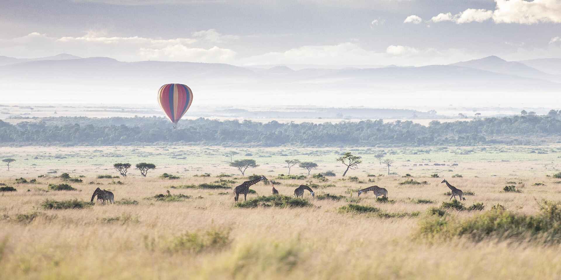Wilderness Mara Camp: Ballonfahrt mit Giraffen