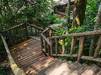 Buhoma Lodge: Treppen zwischen Chalets