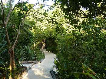 Fundu Lagoon: Wege Fundu Lagoon: Wege
