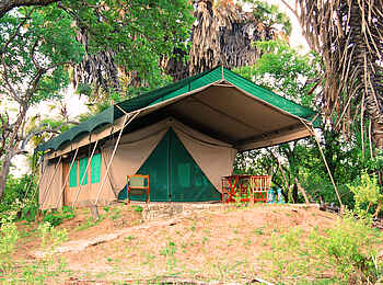 Lake Manze Camp: Innentür mit Netz Lake Manze Camp: Innentür mit Netz