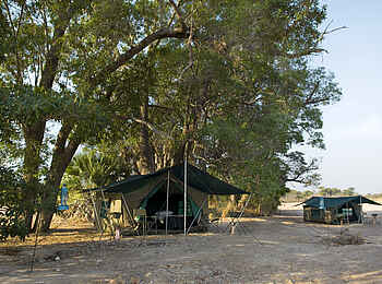 Luangwa Bush Camping: Zelte unter Bäumen