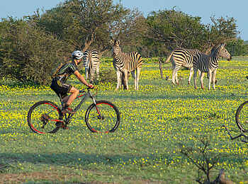 Mashatu Lodge: Fahrradsafari Mashatu Lodge: Fahrradsafari