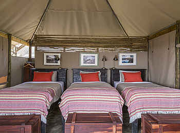 Meno a Kwena Camp: Family Tent Kinder Betten Meno a Kwena Camp: Family Tent Kinder Betten