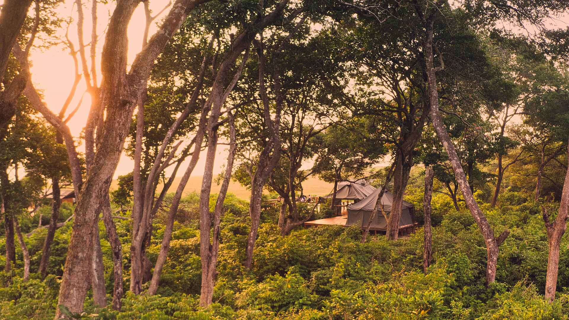 Nyanga Lodge: Ansicht